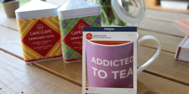 Cape and Cape: découvreur de Rooibos