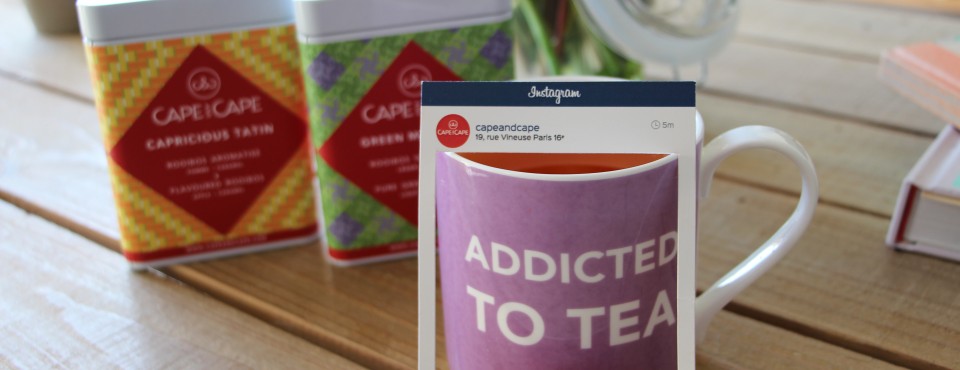 Cape and Cape: découvreur de Rooibos