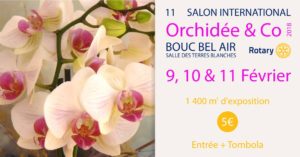 Salon Orchidée &co 2018 - 11ème édition du salon Orchidays