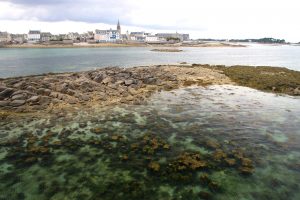 roscoff port marée basse