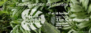 Grande vente de plantes Marseille