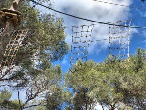 cassis forest accrobranche